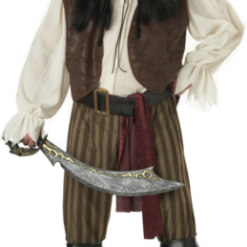 Rogue Pirate Adult Plus Costume