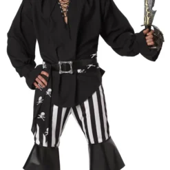 Swashbuckler Adult Costume