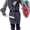 Valiant Knight Adult Costume